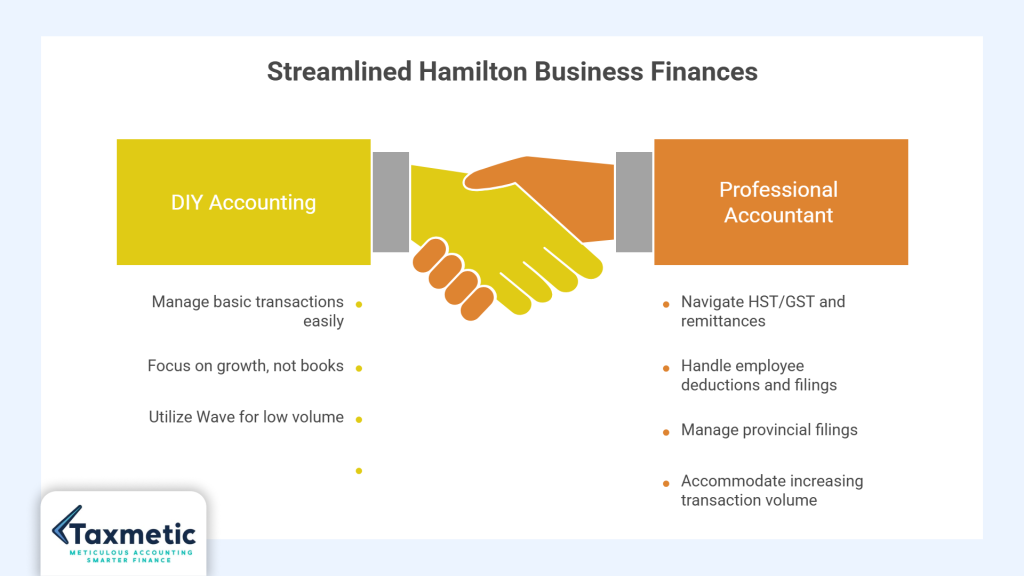 DIY accounting vs professional Hamilton