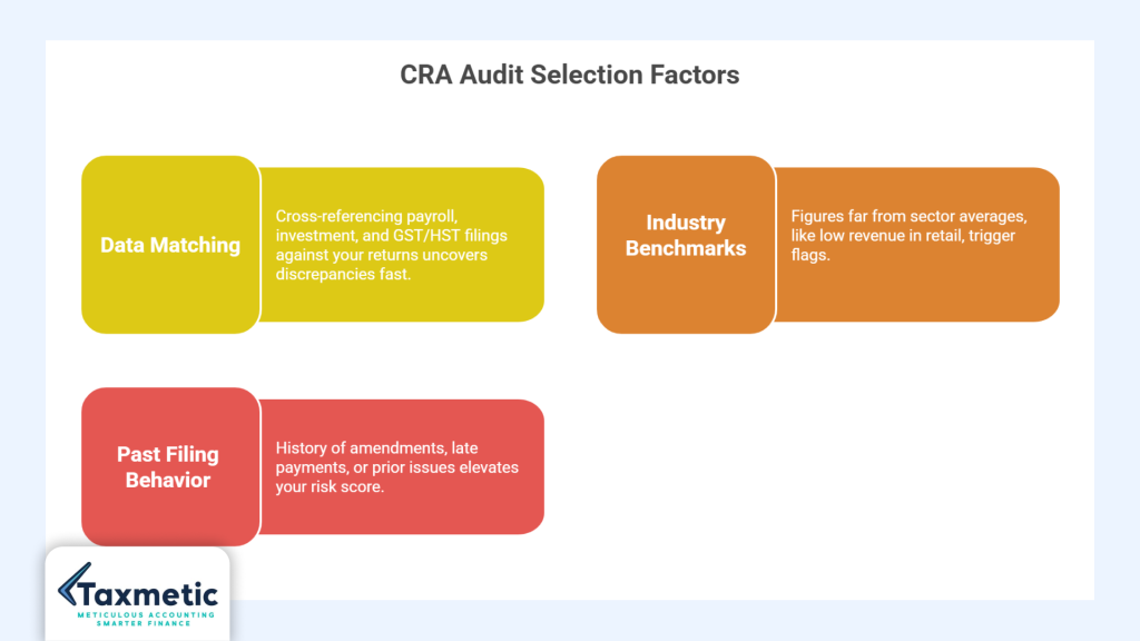 CRA Selects Businesses for Audit